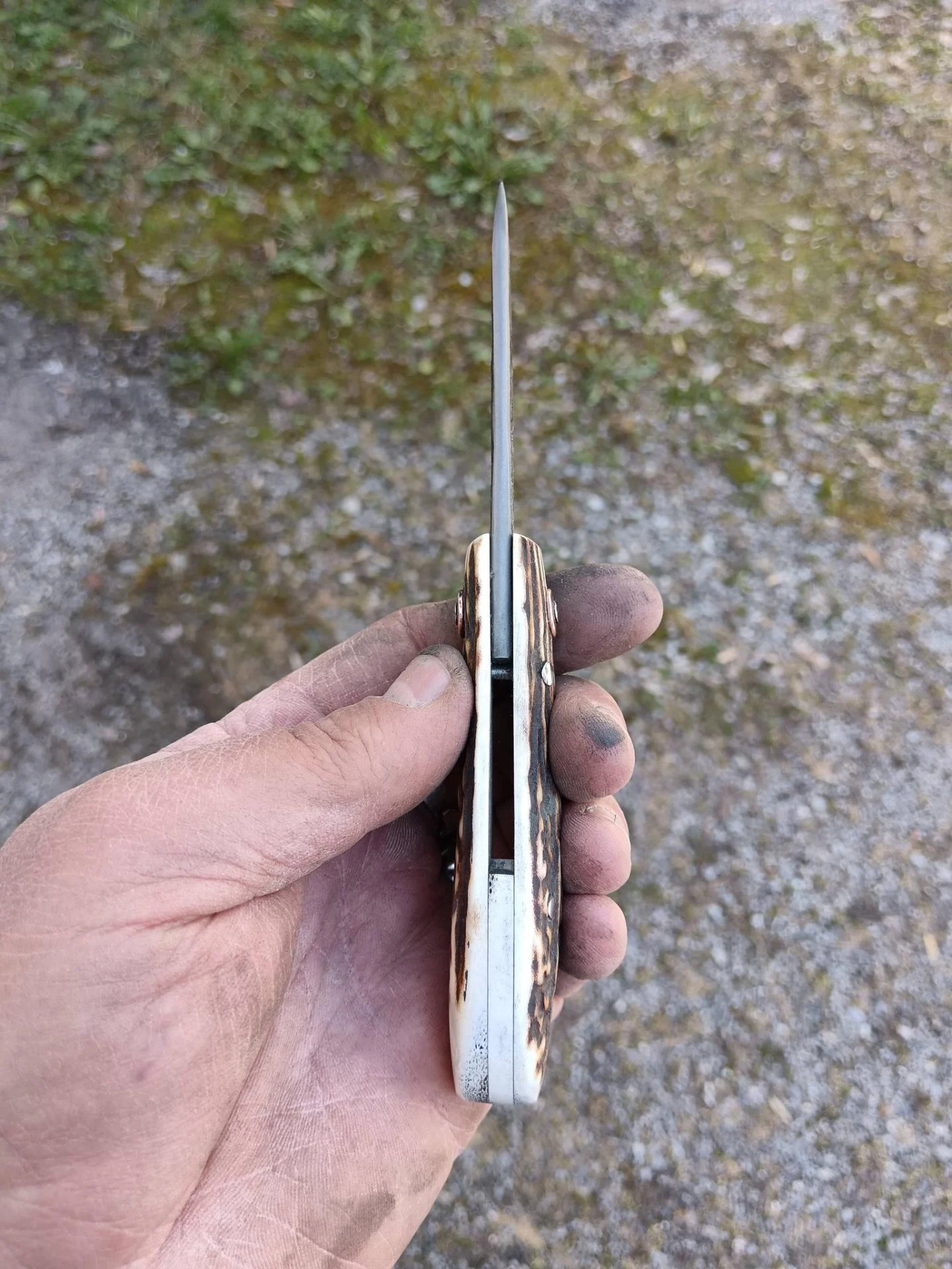 C1