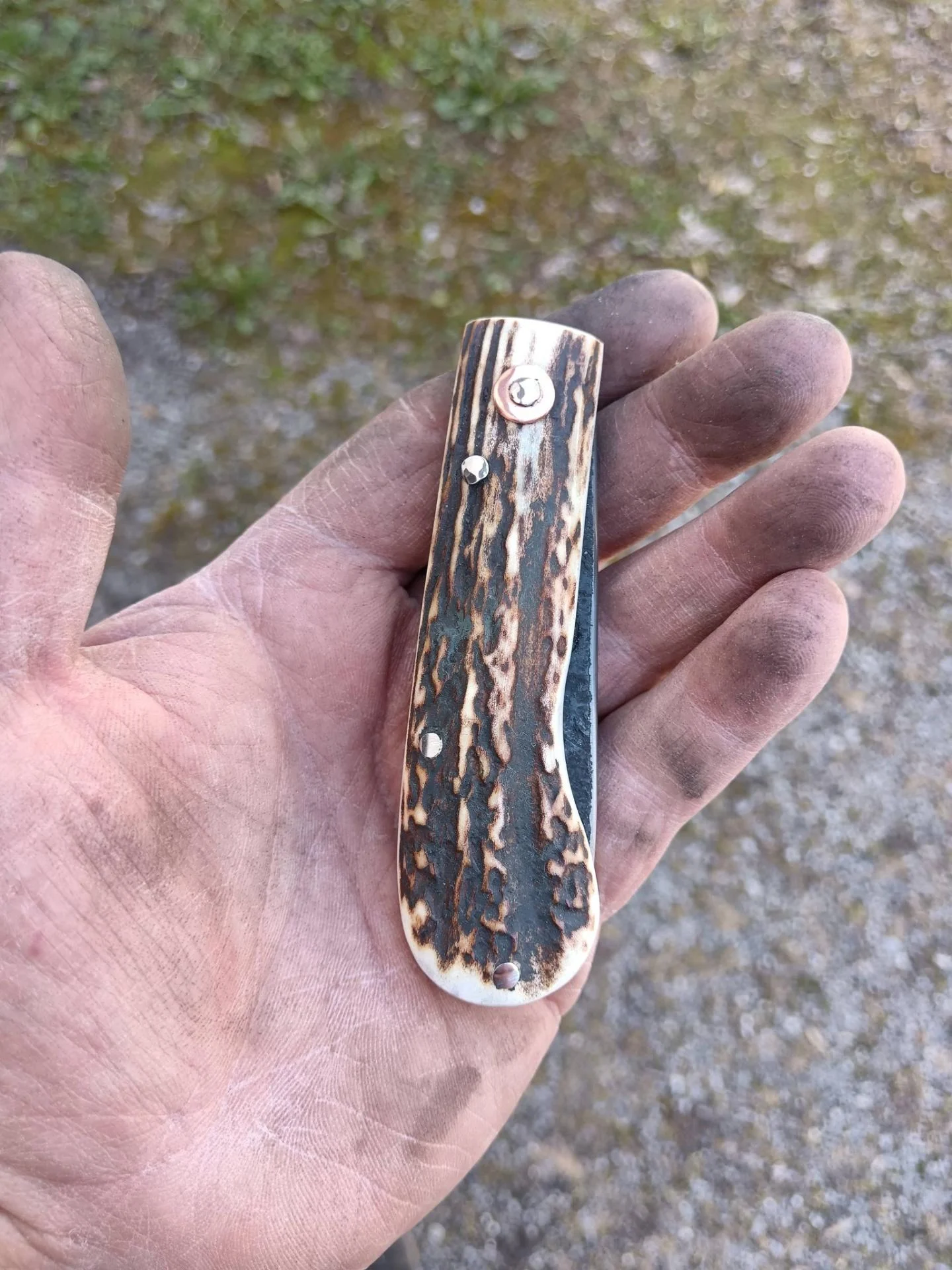 C1