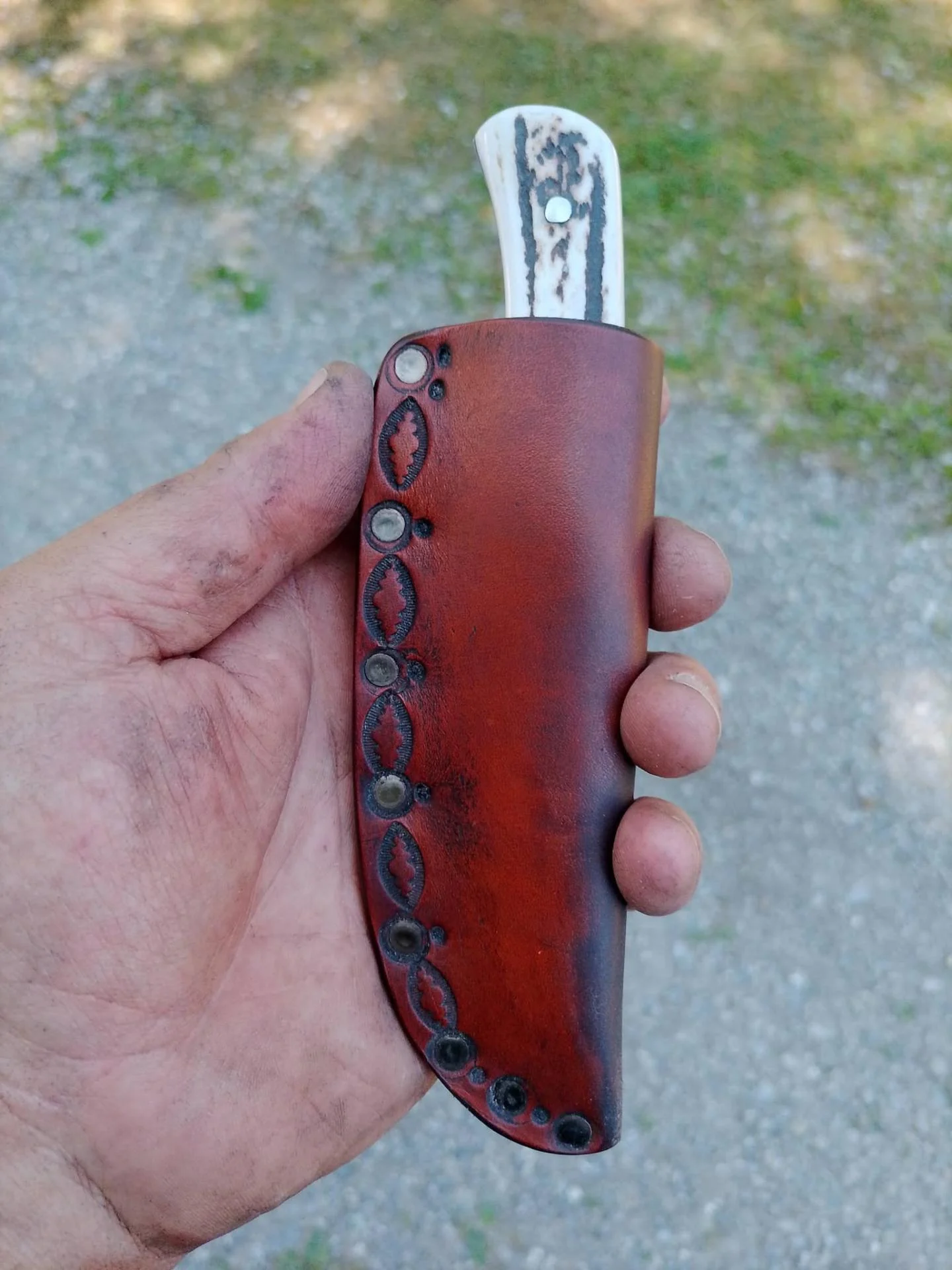 Dcf 3