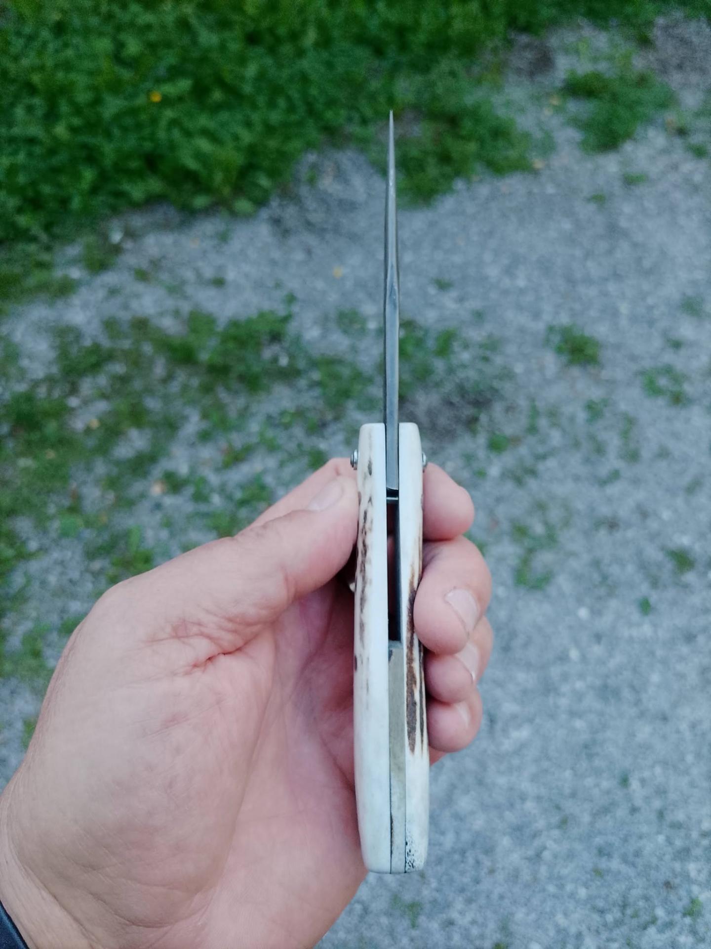 Plcf 2